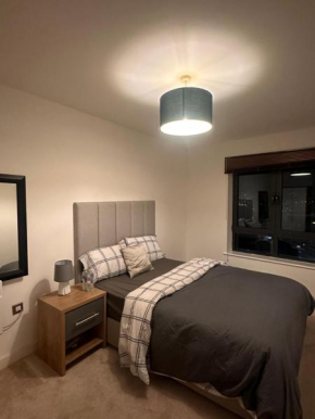 Private Bedroom with Shared Living space and Bath in a two bedroom apartment